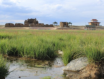 Glimpse of Gobi for 3 days